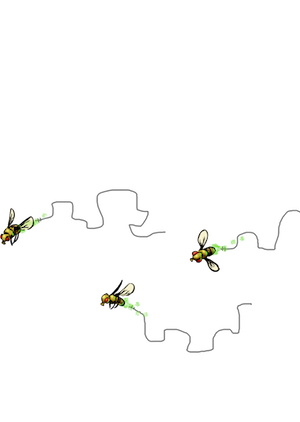 Fruit flies